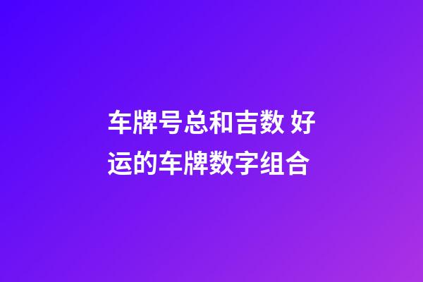 车牌号总和吉数 好运的车牌数字组合
